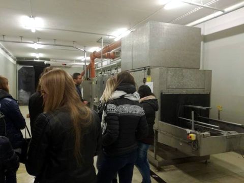 netto4.jpg